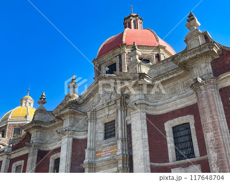 メキシコ・グアダルーペ大聖堂 117648704