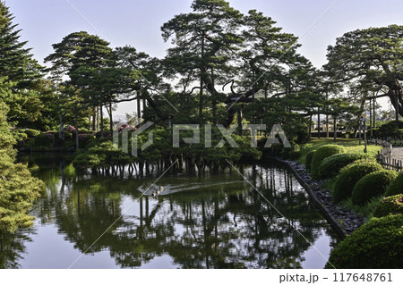 ツツジが咲く美しい新緑の兼六園 ツツジが咲く美しい新緑の兼六園 117648761