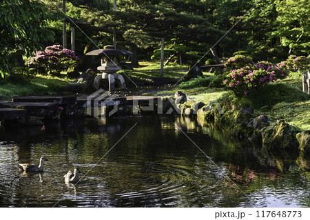 ツツジが咲く美しい新緑の兼六園 117648773