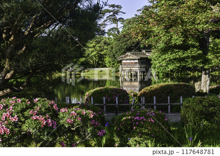 ツツジが咲く美しい新緑の兼六園 ツツジが咲く美しい新緑の兼六園 117648781