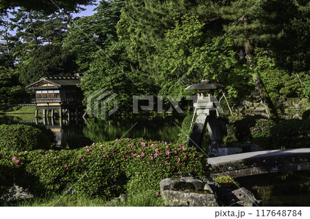 ツツジが咲く美しい新緑の兼六園 ツツジが咲く美しい新緑の兼六園 117648784