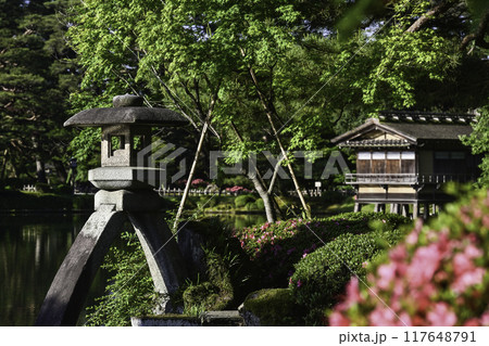 ツツジが咲く美しい新緑の兼六園 117648791