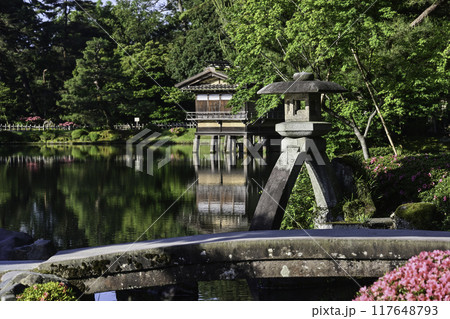 ツツジが咲く美しい新緑の兼六園 117648793