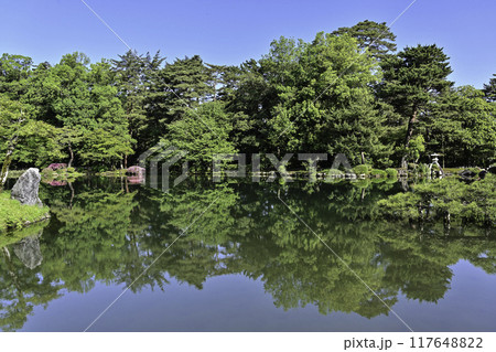 ツツジが咲く美しい新緑の兼六園 117648822