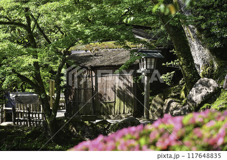 ツツジが咲く美しい新緑の兼六園 ツツジが咲く美しい新緑の兼六園 117648835