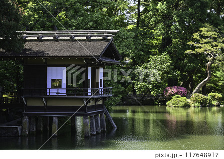 ツツジが咲く美しい新緑の兼六園 117648917