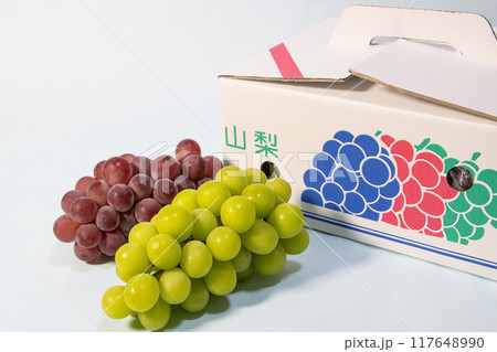 箱に入ったぶどう 紅伊豆とシャインマスカット 箱に入ったぶどう 紅伊豆とシャインマスカット 117648990
