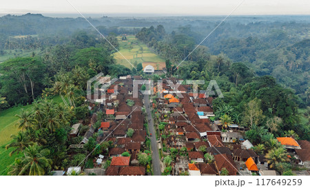 Drone view of balinese village. Tropical landscape in Bali island nearby Tibumana waterfall. Drone view of balinese village. Tropical landscape in Bali island nearby Tibumana waterfall. 117649259