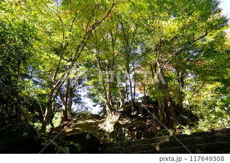 大山　男坂 117649308
