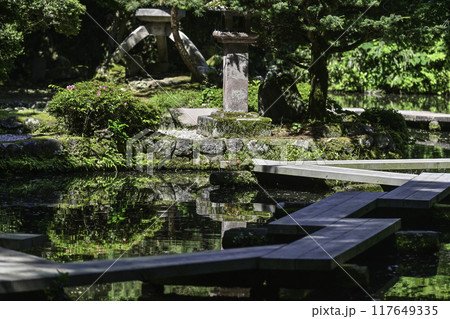 新緑の尾山神社 117649335