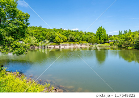 めだか池 茶室香流亭 愛・地球博記念公園 めだか池 茶室香流亭 愛・地球博記念公園 117649822