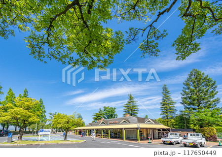 道の駅デンパーク安城 契約農家でとれた新鮮な野菜,果実 梨といちじくは国内でも有数の産地 道の駅デンパーク安城 契約農家でとれた新鮮な野菜,果実 梨といちじくは国内でも有数の産地 117650449