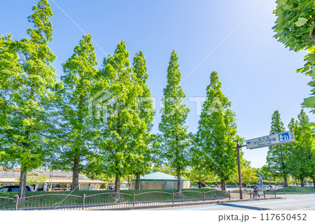 道の駅デンパーク安城　契約農家でとれた新鮮な野菜,果実　梨といちじくは国内でも有数の産地 117650452