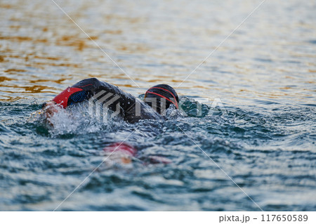 Triathlon athlete swimming on lake in sunrise wearing wetsuit 117650589