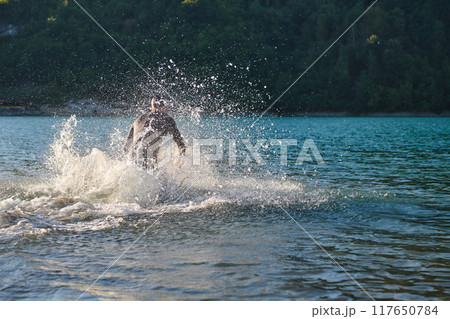Triathlon athlete starting swimming training on lake Triathlon athlete starting swimming training on lake 117650784