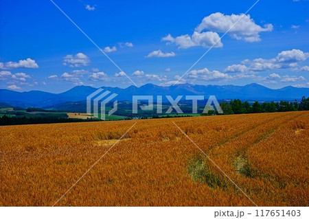 麦香る 麦香る 117651403