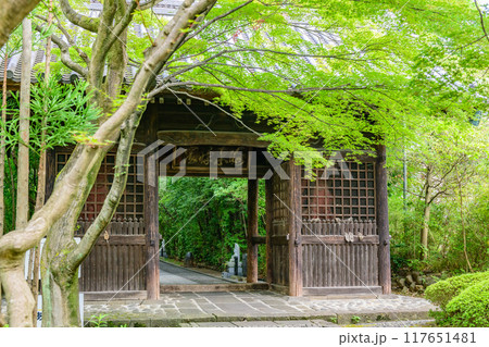 仙台 輪王寺 夏 117651481