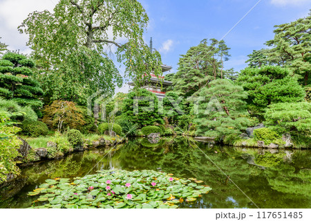 仙台 輪王寺 夏 仙台 輪王寺 夏 117651485