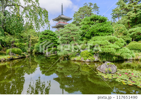 仙台 輪王寺 夏 117651490