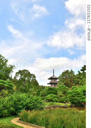 仙台 輪王寺 夏 117651501