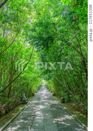 仙台 輪王寺 夏 117651506