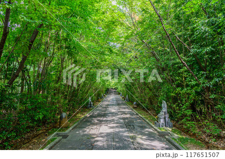 仙台 輪王寺 夏 117651507