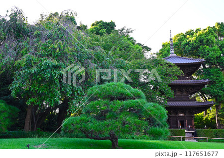 椿山荘の景色 117651677