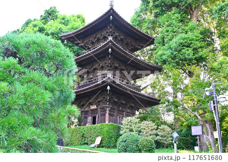 椿山荘の景色 117651680