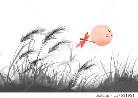 夕焼けとススキと赤トンボ 夕焼けとススキと赤トンボ 117651951