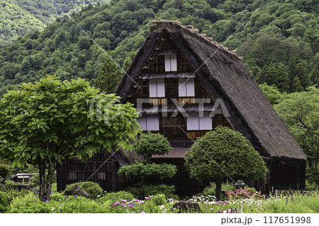 緑が美しい春の白川郷 117651998