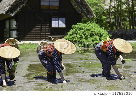 白川郷の田植え祭り 117652010