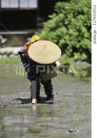 白川郷の田植え祭り 白川郷の田植え祭り 117652011