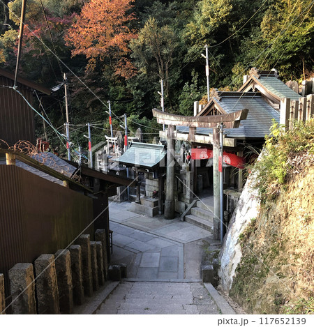 京都　伏見稲荷　神社　鳥居 117652139
