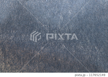 和紙とホウライチク（蓬莱竹）のコラボ【背景素材】 117652149