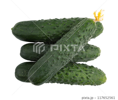 fresh cucumbers isolated on white background fresh cucumbers isolated on white background 117652561