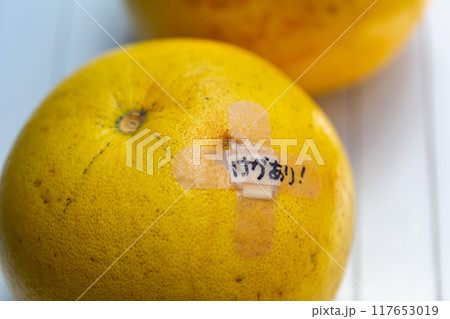 ザボン　ユズ 柚 文旦の写真 117653019