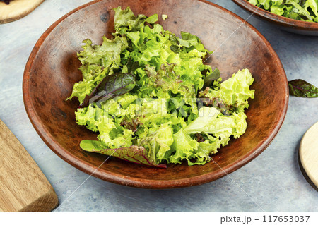 Fresh green salad lettuce Fresh green salad lettuce 117653037