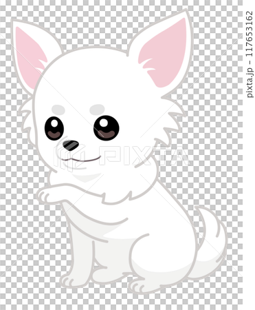 可愛いおすわりチワワのお手ポーズ（斜め/左手） 117653162