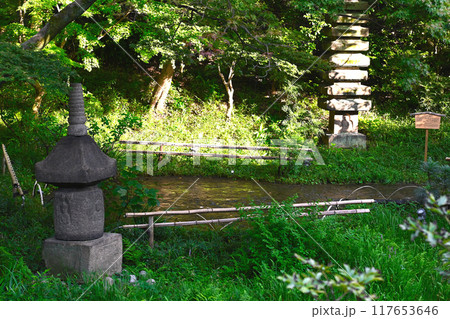 椿山荘の景色 椿山荘の景色 117653646
