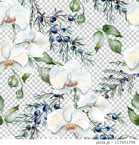 White orchids, juniper and leaves holly in pastel watercolor. Delicate floral seamless pattern isolated. Coniferous branch blue berry and flowers hand drawn for design textile. Greenery background White orchids, juniper and leaves holly in pastel watercolor. Delicate floral seamless pattern isolated. Coniferous branch blue berry and flowers hand drawn for design textile. Greenery background 117653794