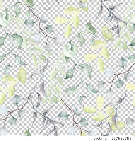 Twigs eucalyptus, leaves in sage green watercolor seamless pattern isolated. Foliage background with repeating plants in pastel tones hand drawn for design textile. Delicate greenery texture. 117653795