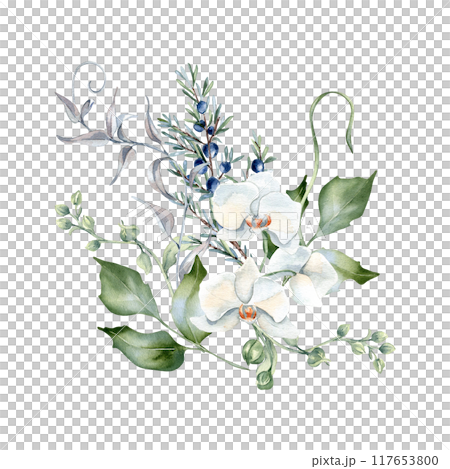 White orchids, juniper and leaves in delicate floral bouquet in pastel watercolor isolated. Curly twigs and delicate foliage hand drawn. Bunch with flowers and blue berries for greenery nature design. 117653800