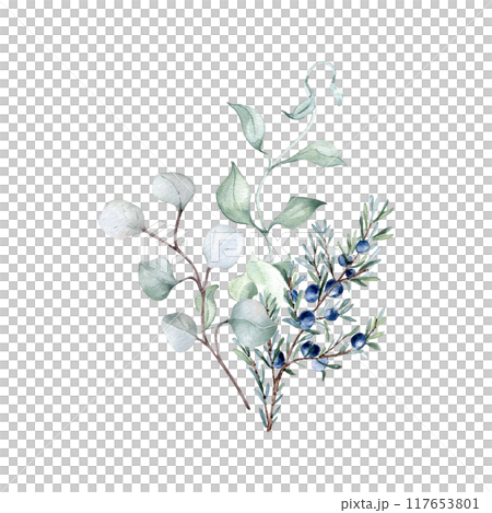 Eucalyptus twigs, juniper and curly liana in neutral watercolor isolated. Bunch with leaves and plants in soft sage green tones hand drawn. Greenery branches illustration painted for nature design. 117653801