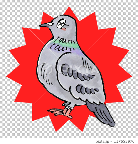 退治された鳩 117653970
