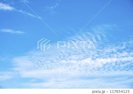 青空 夏空 夏イメージ 青空 夏空 夏イメージ 117654125