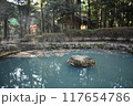 寺の小さな池 117654786