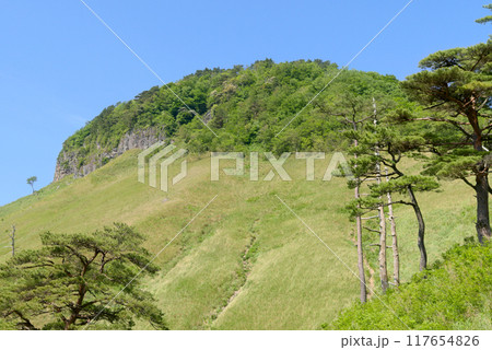 船上山 117654826
