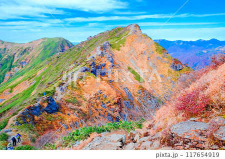 晩秋のオキノ耳 117654919