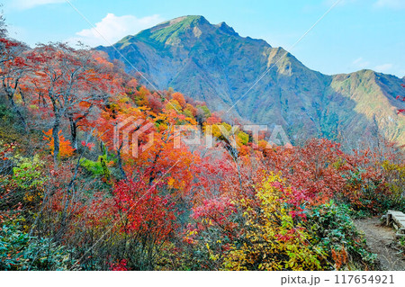 紅葉の稜線から見る谷川岳 117654921
