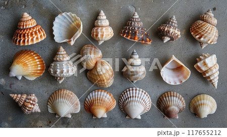 Collection of shells. Generative AI 117655212